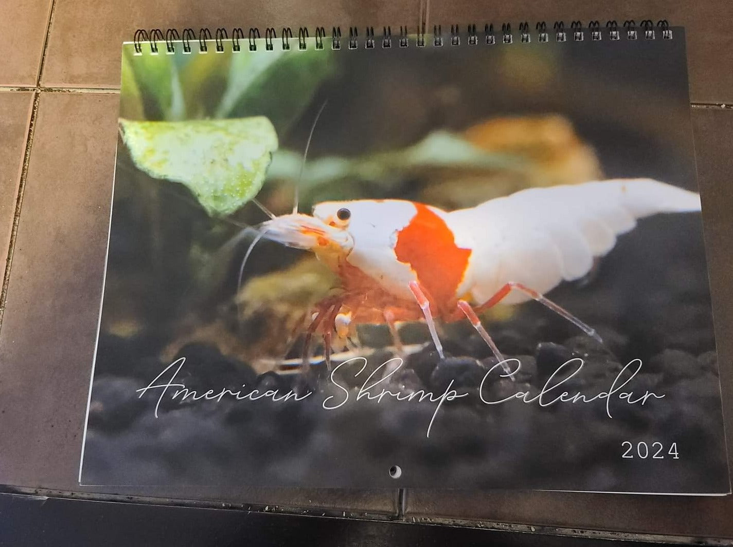 2024 American Shrimp Calendar