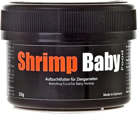 GlasGarten Shrimp Baby